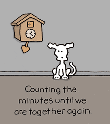 I Miss You Already Been Counting Minutes GIF