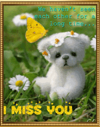 I Miss You Already Let's See Each Other Again GIF