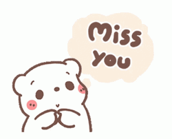 I Miss You Bear