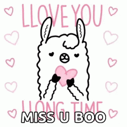 I Miss You Boo Cute Alpaca