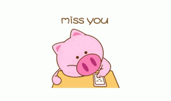 I Miss You Cute Sad Pig