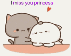 I Miss You Princess Cute Cats