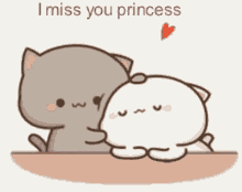 I Miss You Princess Milk And Mocha Cats  GIF