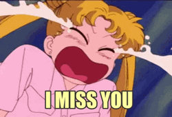 I Miss You Sailor Moon