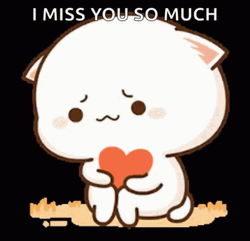 I Miss You So Much Sad Peach Cat Heart GIF