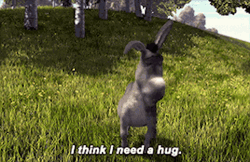 I Need A Hug Donkey