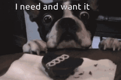 I Need It Want It Dog GIF