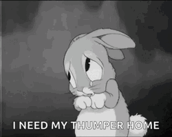 I Need My Thumper Home GIF