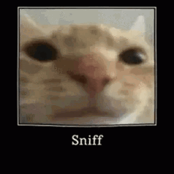 I Need To Sniff You Human GIF