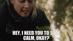 I Need You To Stay Calm GIF