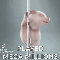 I Played The Mega Millions Lotto GIF