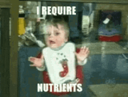I Require Nutrients Starving GIF
