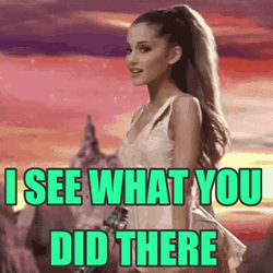 I See What You Did There Ariana Grande GIF