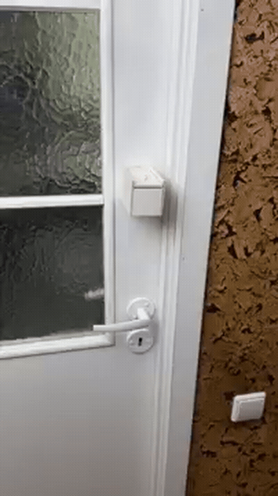 I Shouldnt Have Opened It GIF