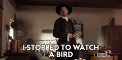 I Stopped To Watch The Birds GIF
