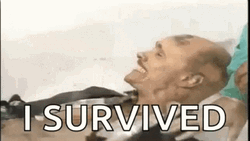 I Survived Crazy Jim Carrey GIF