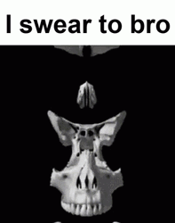 I Swear To Bro Skull Meme