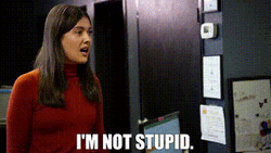 I Think You Should Leave I'm Not Stupid  GIF