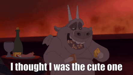 I Thought I Was Cute Notre Dame GIF