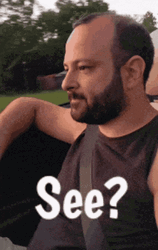 I Told You So Man In Car GIF