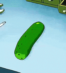 I Turned My Self Into Pickle Rick GIF