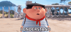 I Understand Niko Despicable Me GIF