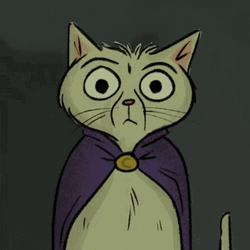 I Understand You Completely Silly Cat GIF