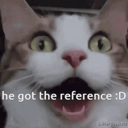 I Understood That Reference Cute Cat Reaction GIF