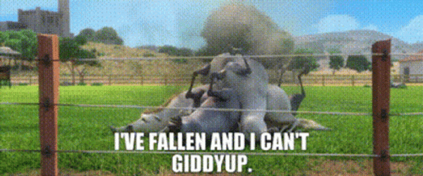 I've Fallen And I Can't Giddy Up GIF