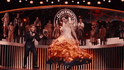 I Volunteer As Tribute Katniss Spinning Fire Mocking Jay GIF