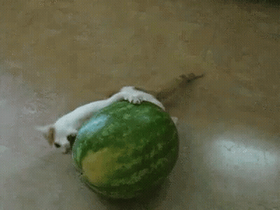 I Voted Green #1 Sign GIF