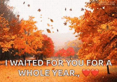 I Waited For You For A Whole Year , Hearts . GIF
