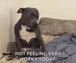 I Wanna Go Home GIF