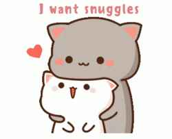 I Want Snuggle Peach Cat GIF