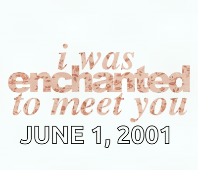 I Was Enchanted To Meet You Poster GIF