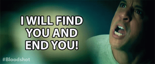 I Will Find You And End You Vin Diesel GIF