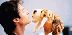 Ian Somerhalder Kissing A Puppy GIF