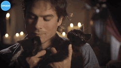 Ian Somerhalder Kissing The Kittens GIF