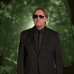 Ibes Ich Bin Ein Star Holt Mich Hier Raus GIF