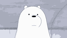 Ice Bear Calculating Calculation Math Thinking GIF