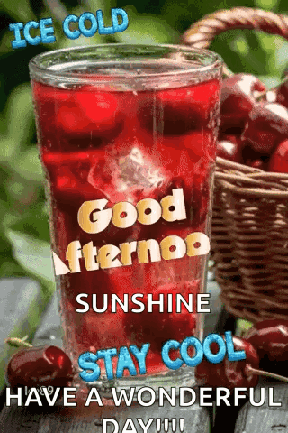 Ice Cold Good Afternoon Sunshine Stay Cool Have A Wonderful Day ! GIF