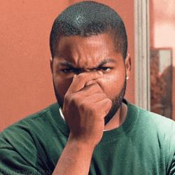 Ice Cube Are You Kidding Me GIF