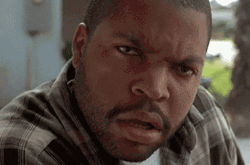 Ice Cube Frowns What GIF