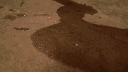 Ice Cube Melting Reverse GIF