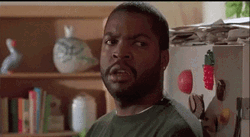 Ice Cube Reaction GIF