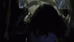 Ice Cube Sasquatch Close Window GIF