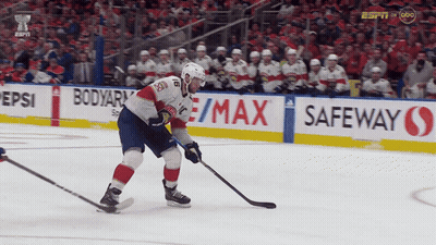 Ice Hockey Player Number 28 GIF