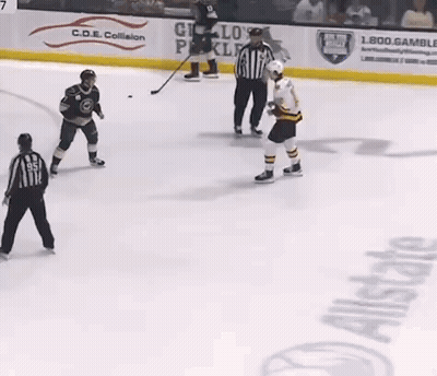 Ice Hockey Players Fighting GIF
