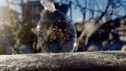 Ice Snow Winter Morning GIF