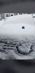 Iced Busch Light GIF